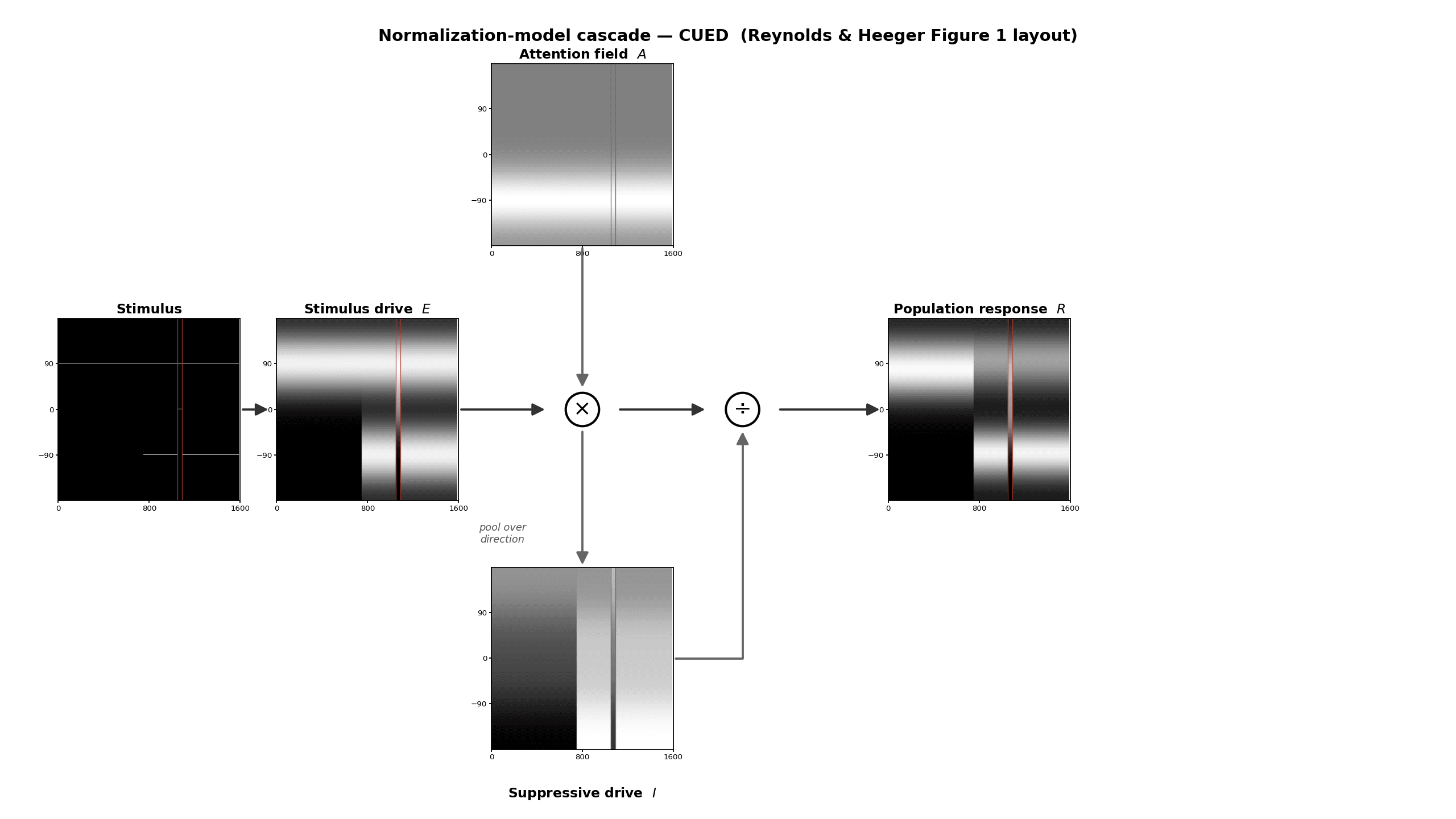 Reynolds & Heeger Figure 1 schematic, run on the delayed-onset stimulus: stimulus drive multiplied by the attention field then divided by the suppressive drive to give the population response, as direction-by-time grayscale maps